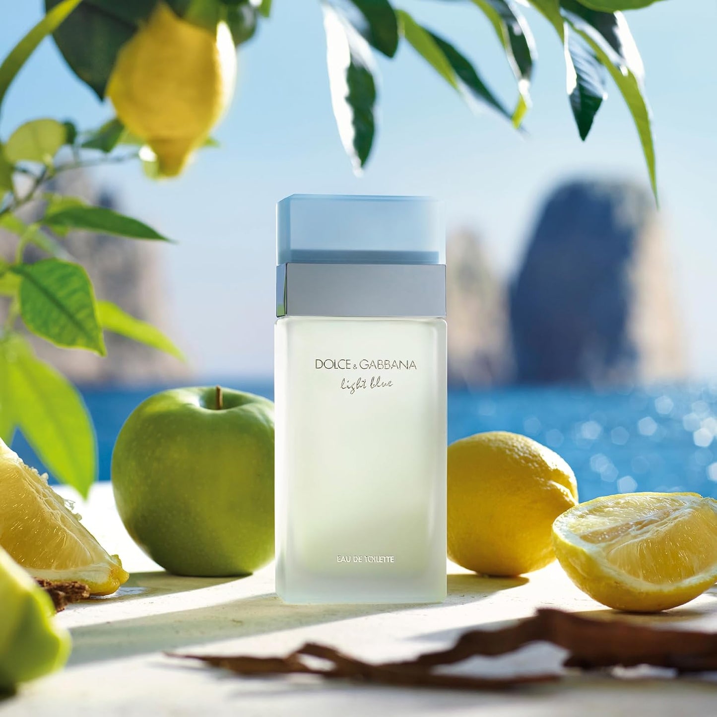 Dolce & Gabbana Light Blue Eau De Toilette Spray for Women
