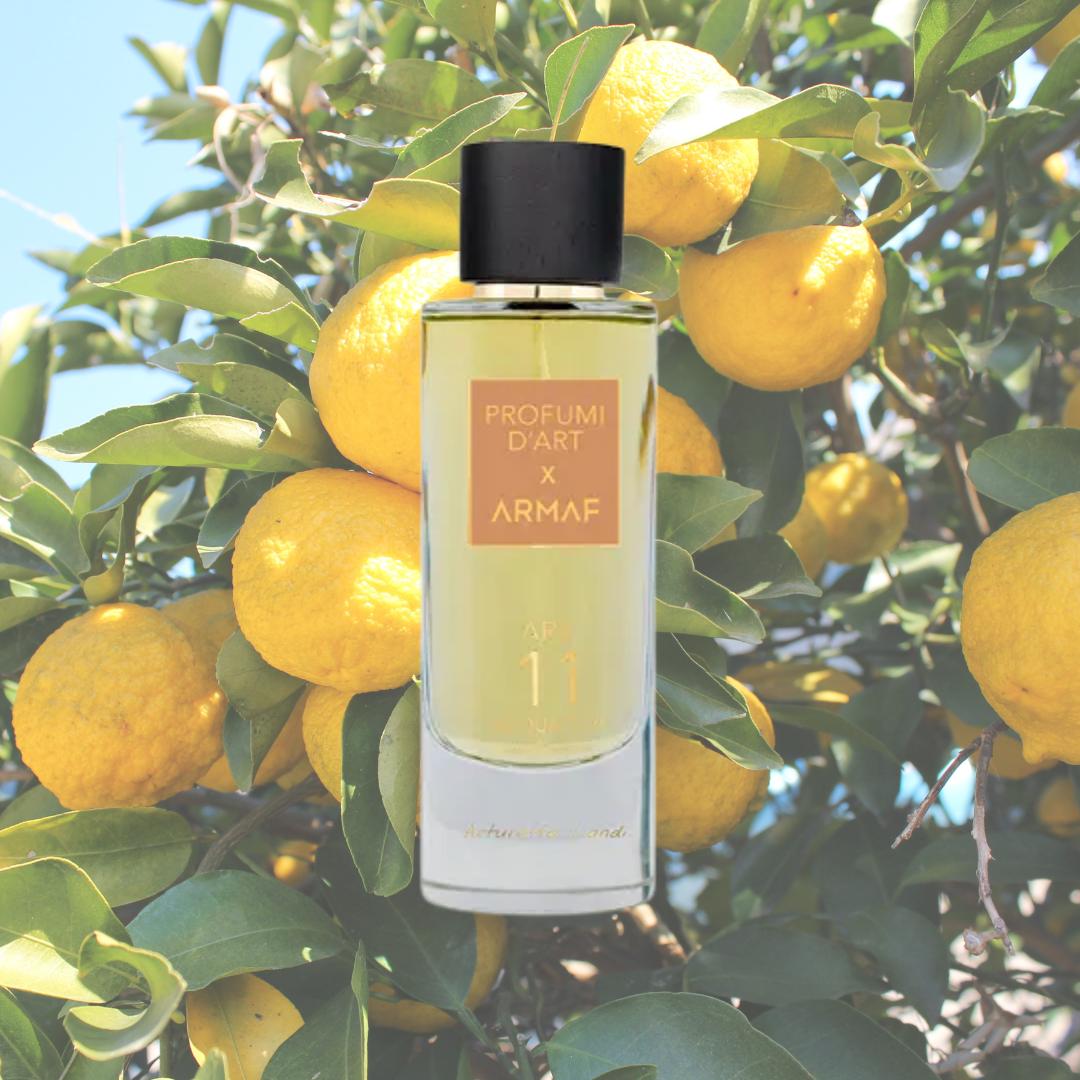Profumi D’Art X Armaf Art 11 Acqua Tua Eau de Parfum – 3.6 oz / 105 ml – Unisex