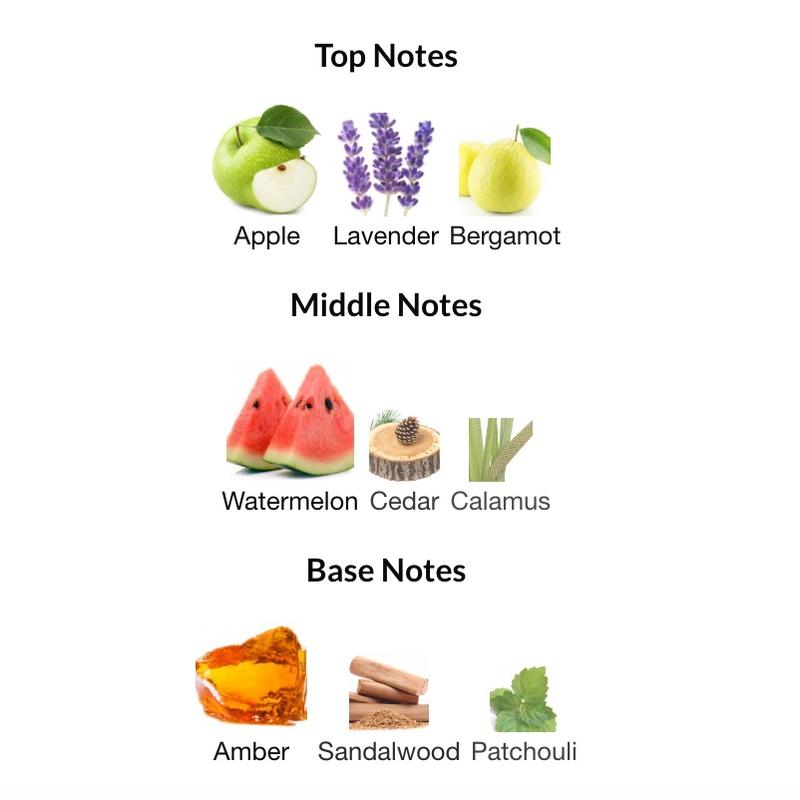 Dumont Nitro Red Eau De Parfum for Men 3.4 oz