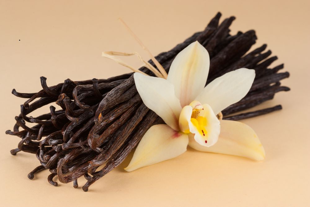 Best Perfume Scents Like Jasmine and Vanilla