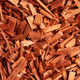 what does sandalwood smell like