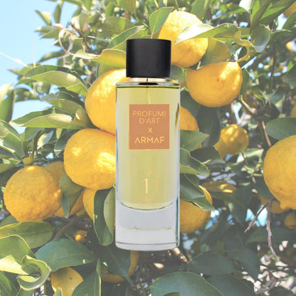 Profumi D’Art X Armaf Art  11 Acqua Tua Eau de Parfum – 3.6 oz / 105 ml – Unisex